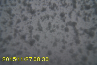 Img20151127_083048.jpg