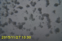 Img20151127_103048.jpg