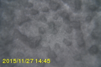 Img20151127_144548.jpg