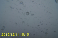Img20151211_151506.jpg
