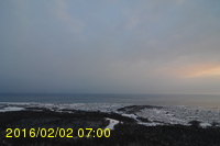 Img20160202_070024.jpg