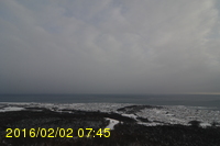 Img20160202_074524.jpg