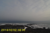 Img20160202_080024.jpg