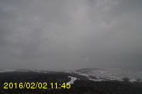 Img20160202_114524.jpg