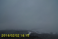 Img20160202_161525.jpg