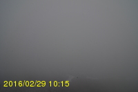 Img20160229_101546.jpg