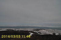 Img20160303_114604.jpg