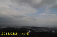 Img20160331_141613.jpg