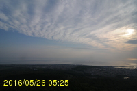 Img20160526_052546.jpg