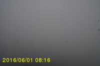 Img20160601_081616.jpg