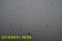 Img20160601_095616.jpg