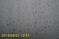 Img20160601_125116.jpg