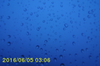 Img20160605_030625.jpg