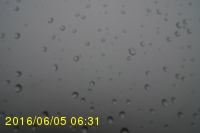 Img20160605_063128.jpg