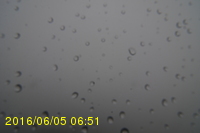 Img20160605_065128.jpg