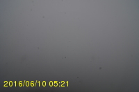 Img20160610_052159.jpg