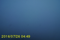 Img20160726_044933.jpg