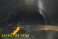 Img20160726_195439.jpg