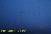 Img20160831_042226.jpg