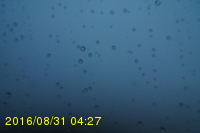 Img20160831_042726.jpg