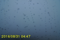 Img20160831_044726.jpg