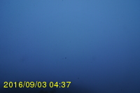 Img20160903_043742.jpg