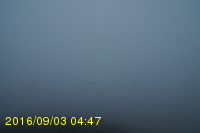 Img20160903_044742.jpg