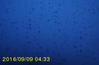 Img20160909_043315.jpg