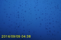 Img20160909_043815.jpg