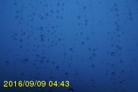 Img20160909_044315.jpg