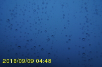 Img20160909_044815.jpg