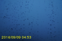 Img20160909_045315.jpg