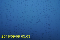 Img20160909_050315.jpg