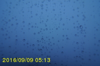Img20160909_051315.jpg