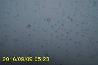Img20160909_052315.jpg