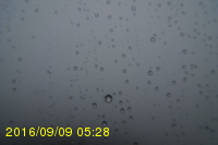 Img20160909_052815.jpg