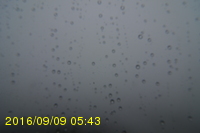 Img20160909_054315.jpg