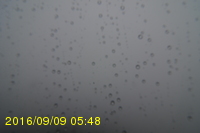 Img20160909_054815.jpg