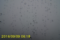 Img20160909_061815.jpg