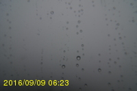 Img20160909_062315.jpg