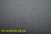 Img20160909_062815.jpg