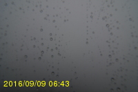 Img20160909_064315.jpg