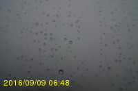 Img20160909_064815.jpg