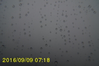 Img20160909_071815.jpg