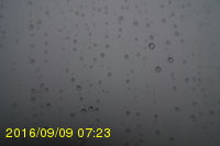 Img20160909_072315.jpg