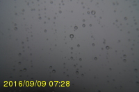 Img20160909_072815.jpg