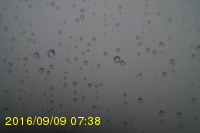 Img20160909_073815.jpg