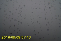 Img20160909_074315.jpg