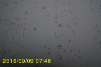 Img20160909_074815.jpg