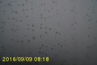 Img20160909_081815.jpg